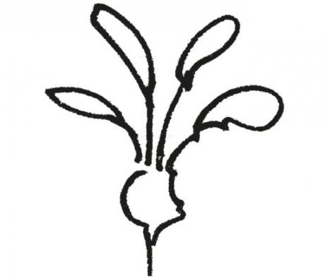 grassrooted