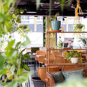 Inspirierende und gemütliche Atmosphäre