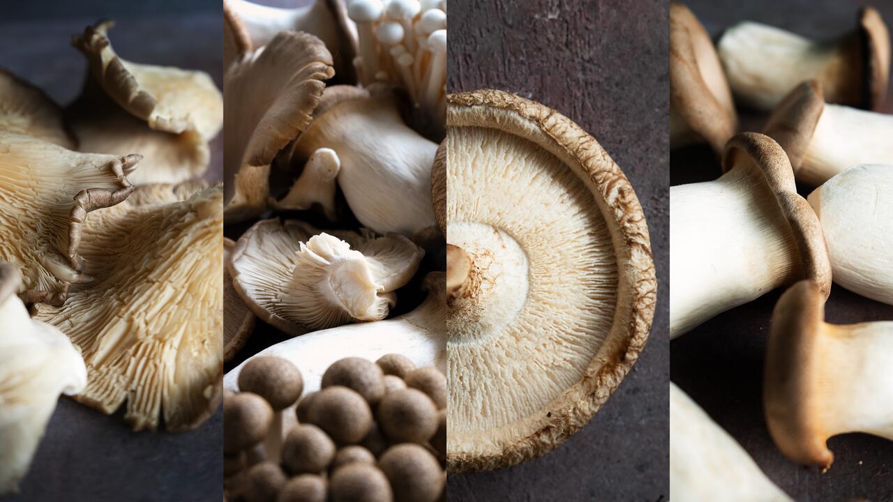 Food Zurich: Fungi Experience by tibits
