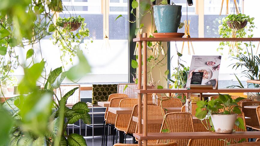 Firmenapéro im tibits Basel Steinen