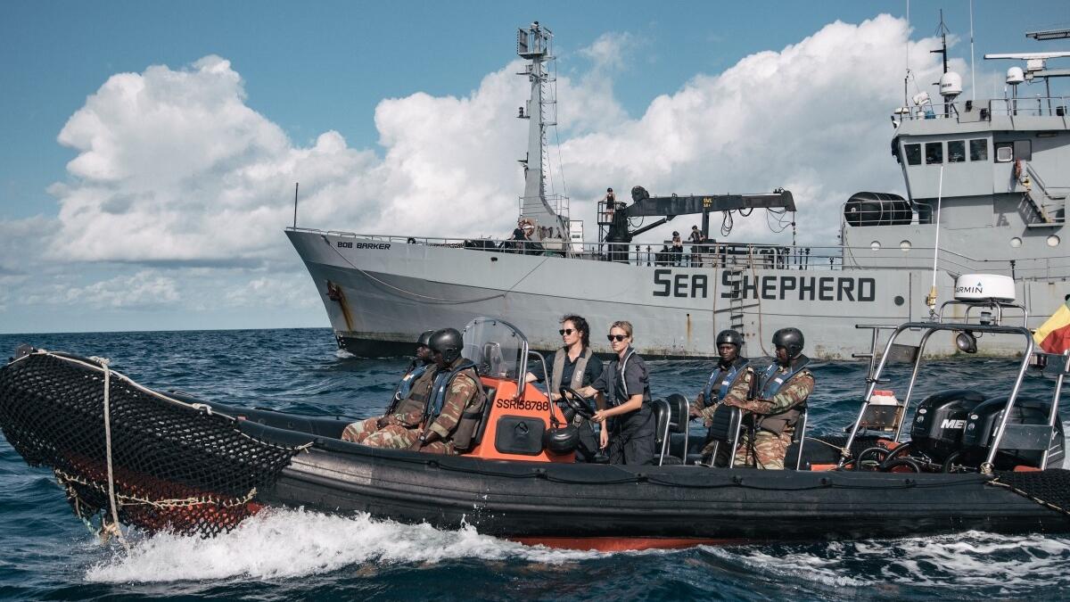 tibits x Sea Shepherd