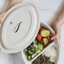 tibits Bento Bowl