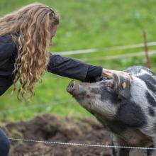 Hoftage 2023 – besucht gerettete Tiere!