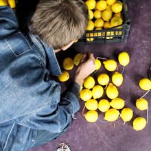 Behind the Scenes unserer tibits Kampagne